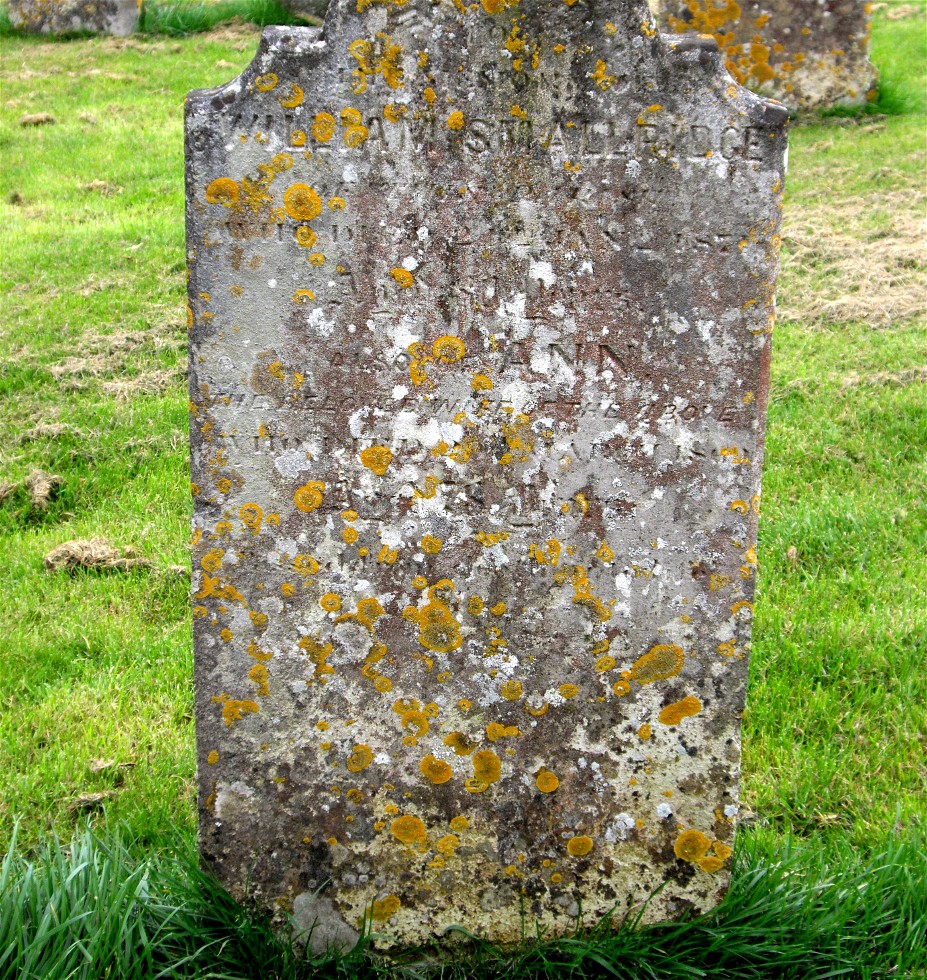 william and ann smallridge grave